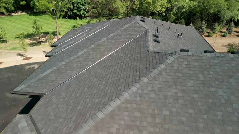 Best Roof Coating and Sealing  in Sevierville, TN