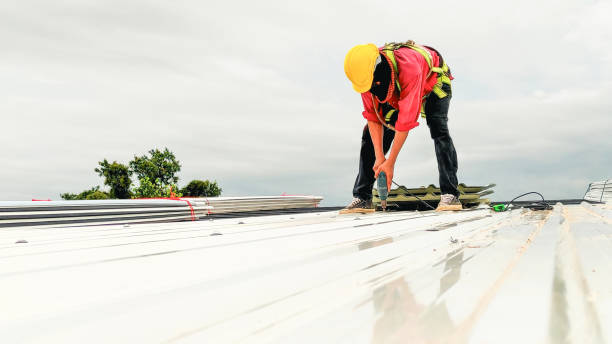 Best Skylight Installation and Repair  in Sevierville, TN