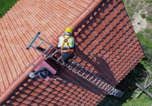 Best Roof Insulation Installation  in Sevierville, TN